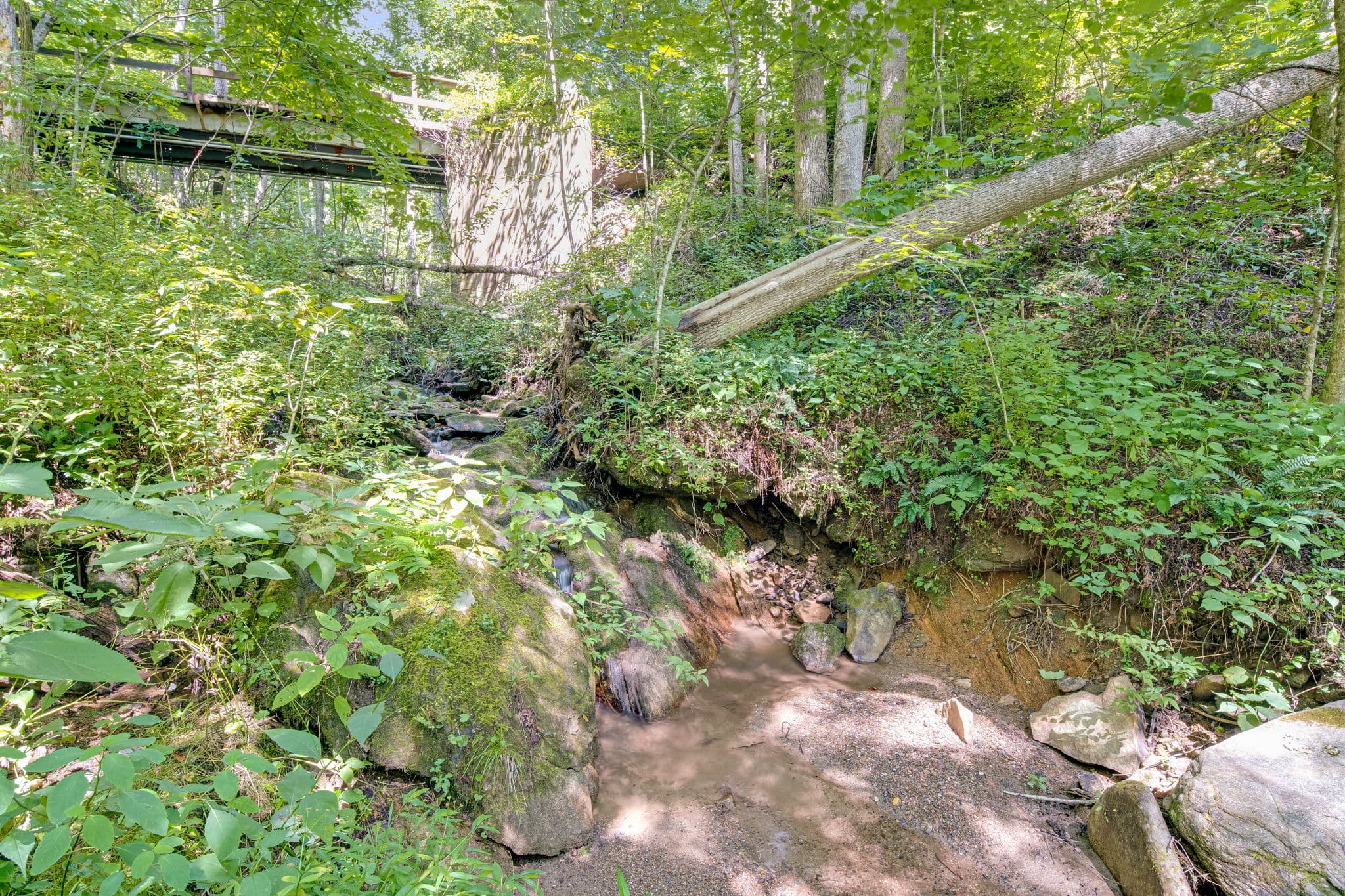 Spring-fed creek with bridge