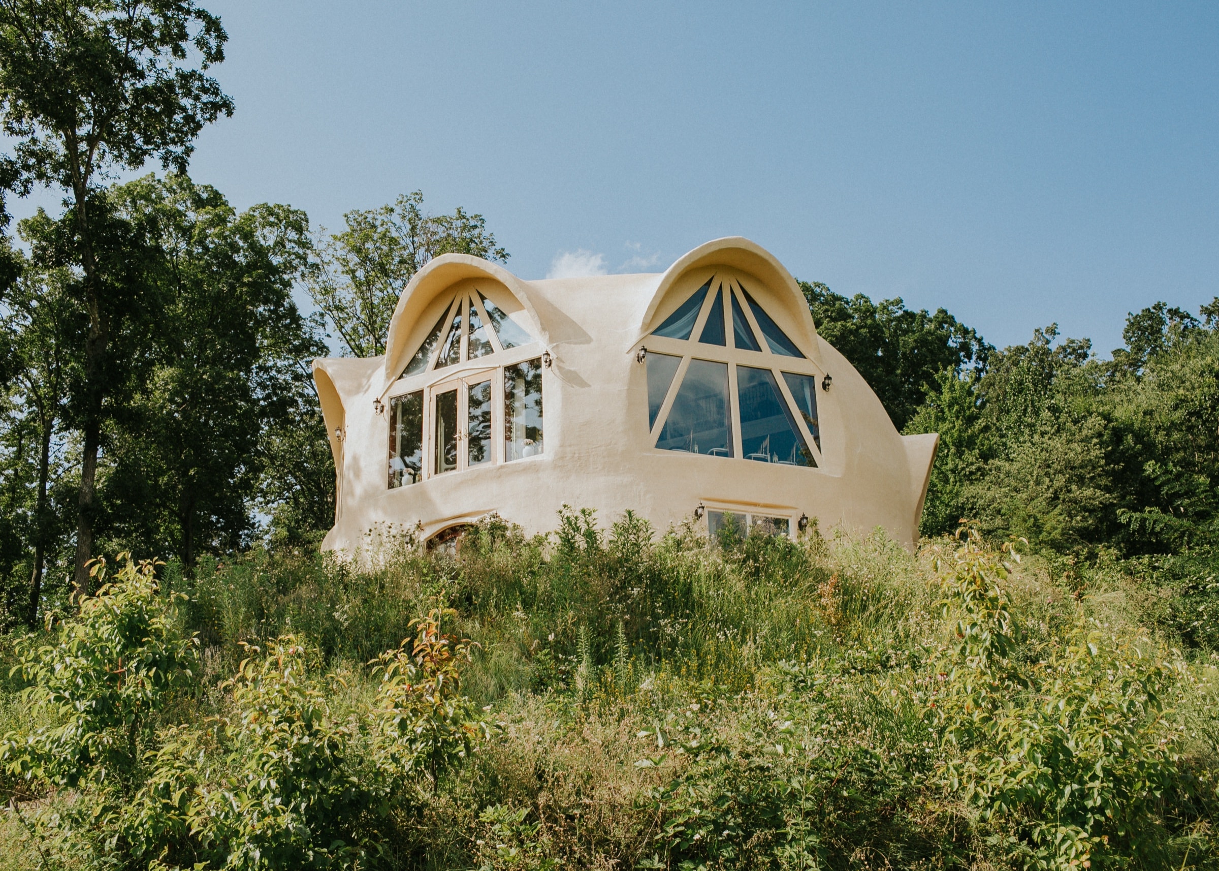 The dome home rising above a hillside meadow of wildflowers