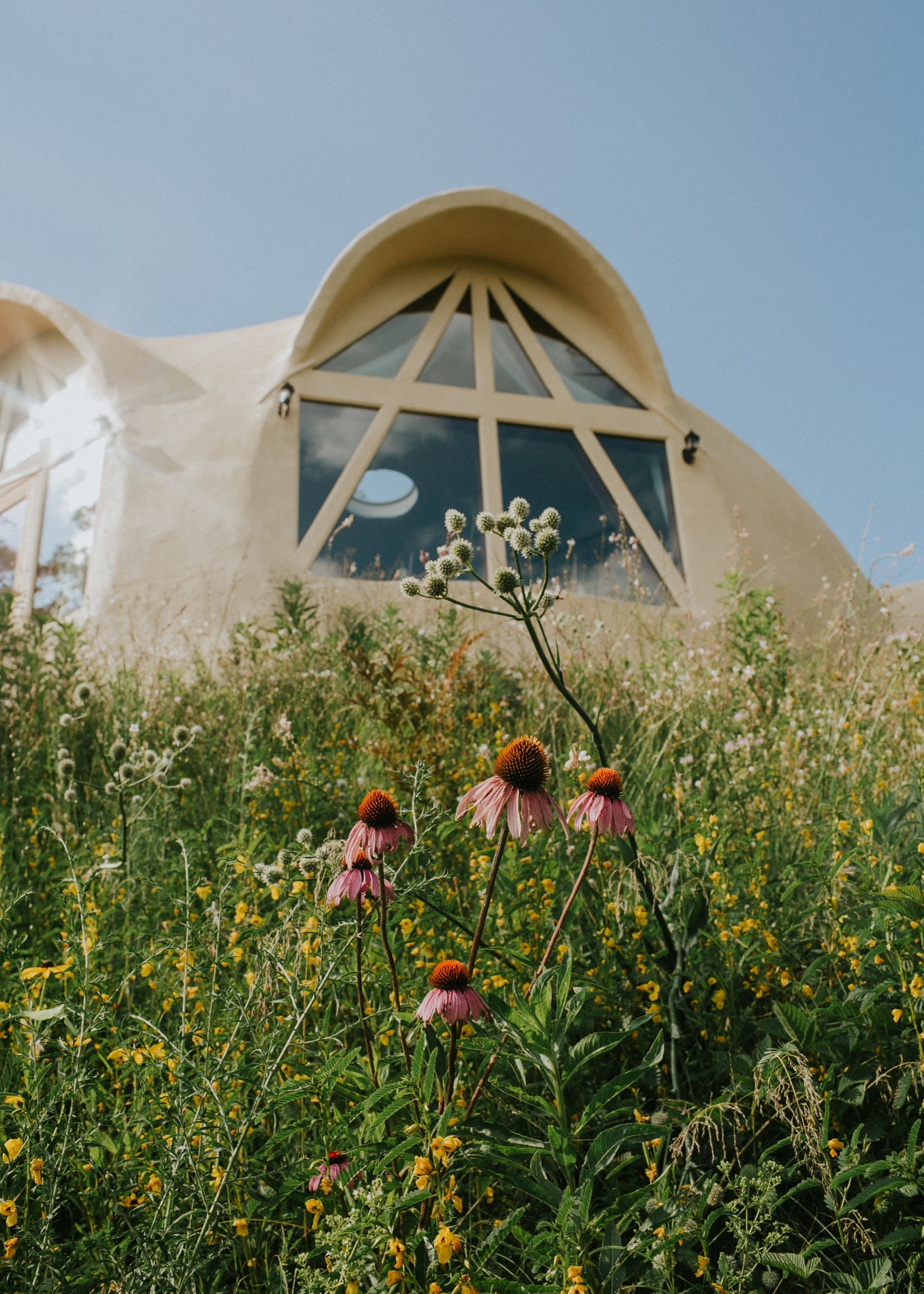 Coneflowers and wildflowers in front of the dome's cathedral windows
