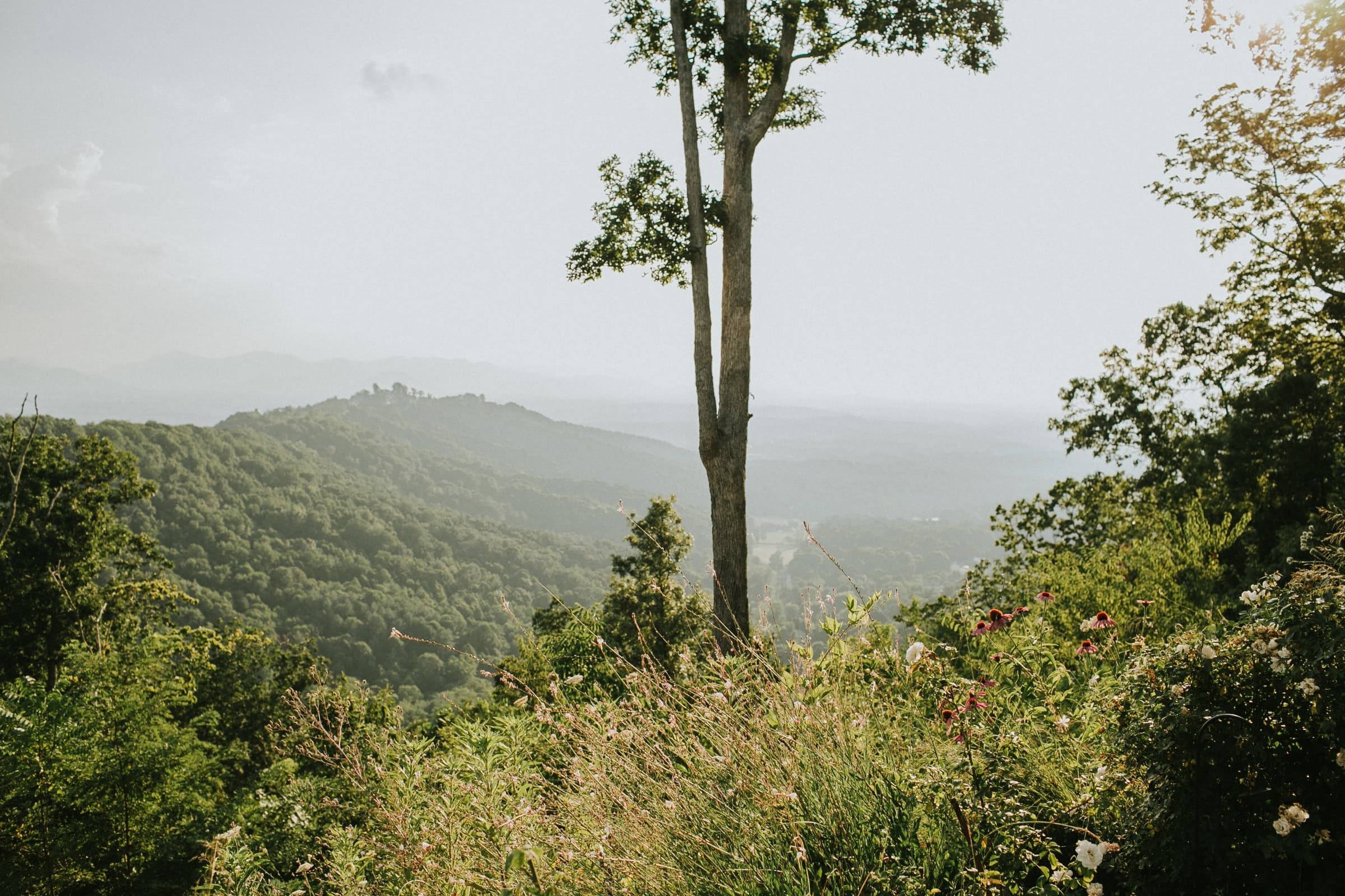 Wedding portraits across the gardens and hilltop at Azura
